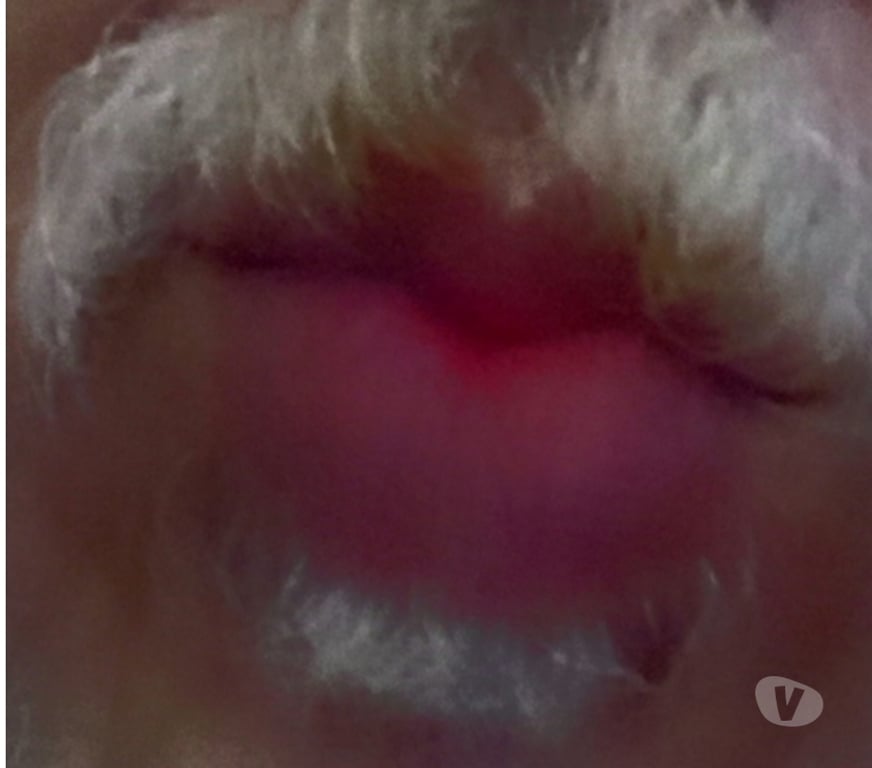 Homem procura Homem Rio de Janeiro RJ Bangu - Fotos para Mamada carinhosa