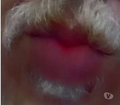 Homem procura Homem Bangu Rio de Janeiro RJ - Fotos para Mamada carinhosa