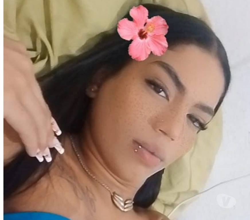 Acompanhantes travesti Recife PE - Fotos para novinha safada..
