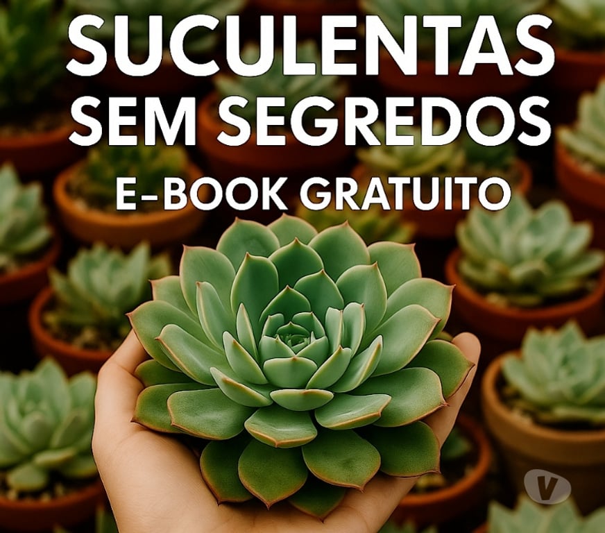 Outros cursos Londrina PR - Fotos para Suculentas com Propósito