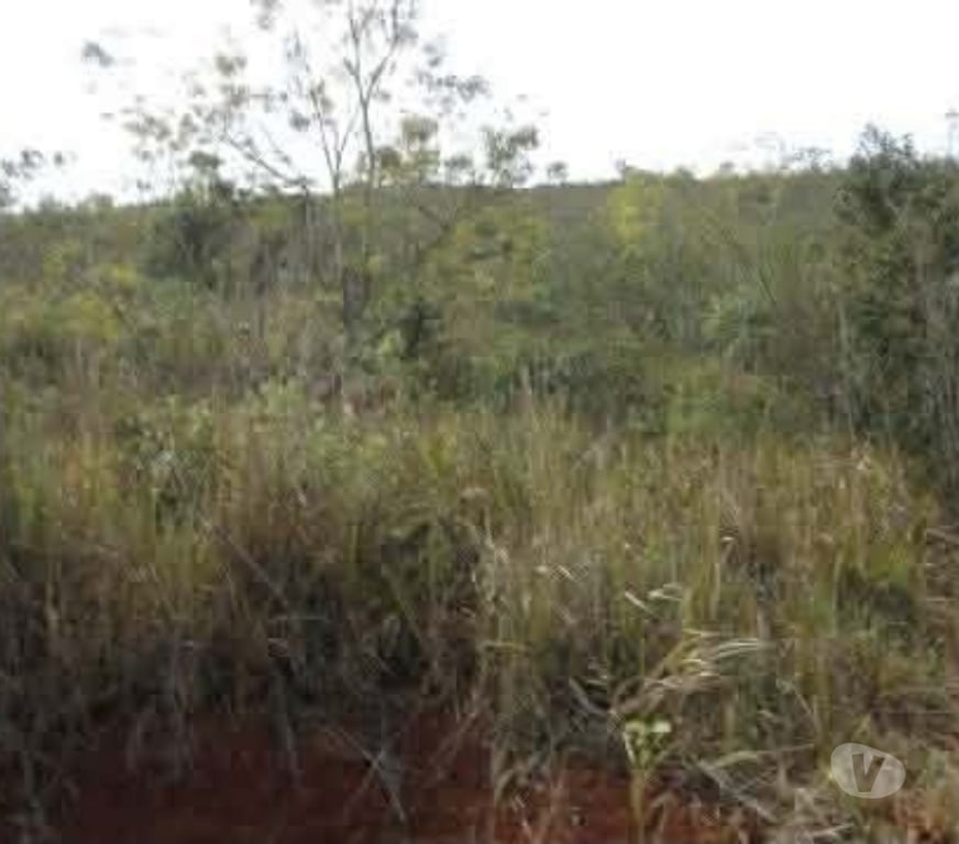 Fazendas - Sitios à venda Taubate SP - Fotos para SITIO TAUBATE 37000M2 BEIRA DE RODOVIA COM ESCRITURA , LUZ,