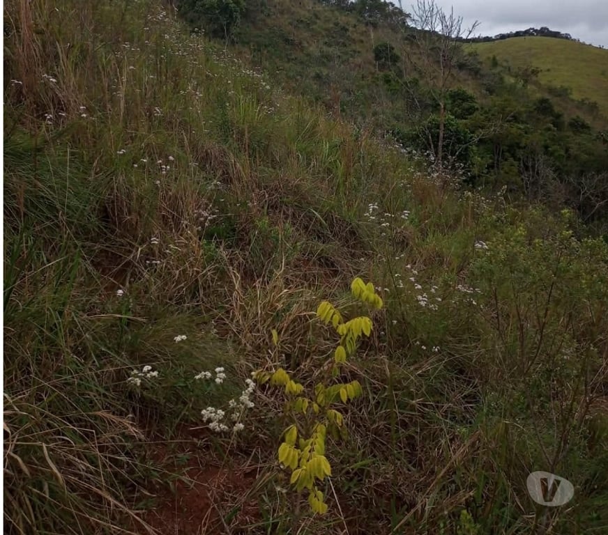 Fazendas - Sitios à venda Taubate SP - Fotos para SITIO TAUBATE 37000M2 BEIRA DE RODOVIA COM ESCRITURA , LUZ,