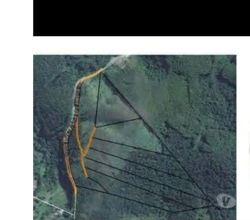 Fazendas - Sitios à venda Taubate SP - Fotos para SITIO TAUBATE 37000M2 BEIRA DE RODOVIA COM ESCRITURA , LUZ,