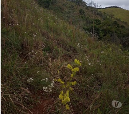 Fazendas - Sitios à venda - Fotos para SITIO TAUBATE 37000M2 BEIRA DE RODOVIA COM ESCRITURA , LUZ,