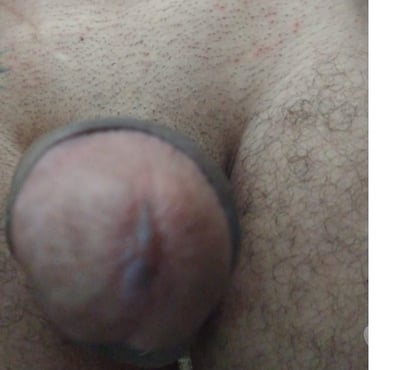 Encontros Sexuais - Fotos para Sexo gostoso e satado