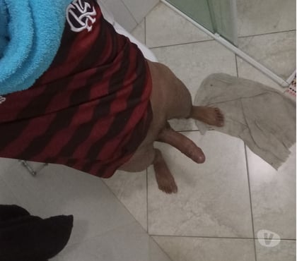 Encontros Sexuais - Fotos para ComedoR Discreto