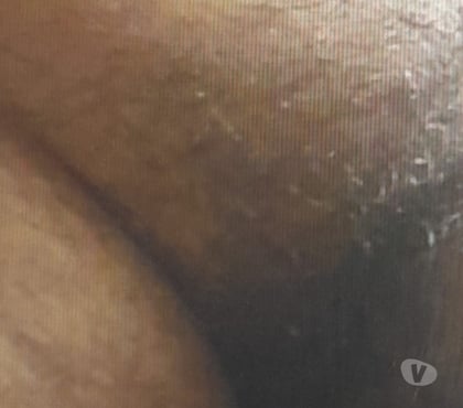 Homem procura homem Marechal Rio de Janeiro RJ - Fotos para Somente Maduros 40+