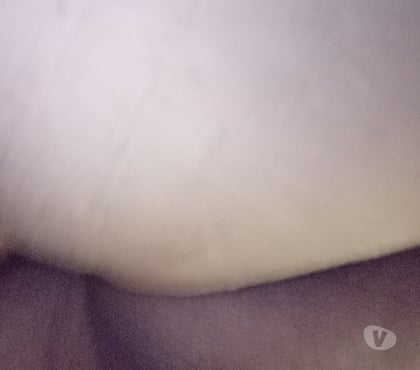 Encontros Sexuais - Fotos para Passivo procura ativo avantajado