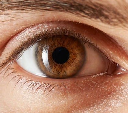 Encontros Casuais Santa Felicidade Curitiba PR - Fotos para PROCURO MULHER ACIMA DE 55 ANOS