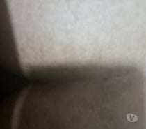 Gordinho passivo *SEM LOCAL*