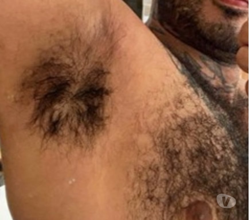 Acompanhantes masculinos Sao Paulo SP Bela Vista - Fotos para Peludo c Local Bela Vista SP