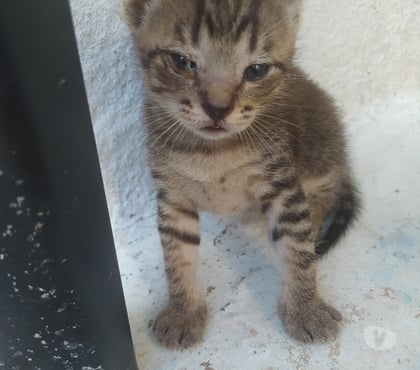 Encontros Casuais - Fotos para Quero sexo com mulher não importa idade nem aparencia