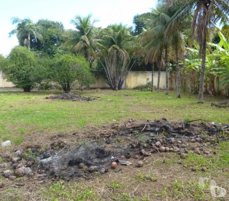 Terrenos Itaguai RJ - Fotos para Terreno 2.000m² Depósito Caminhões Rod Rio Santos Itaguaí RJ