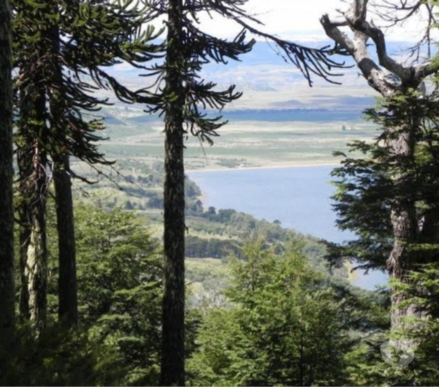 Venta de Haciendas Malleco Lonquimay - Fotos de Extraordinaria fundo de 600 hectáreas en Lonquimay