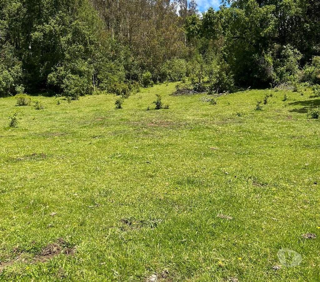 Venta de Haciendas Cautín Villarrica - Fotos de Vendo campo en Lican Ray 12 has ideal para lotear