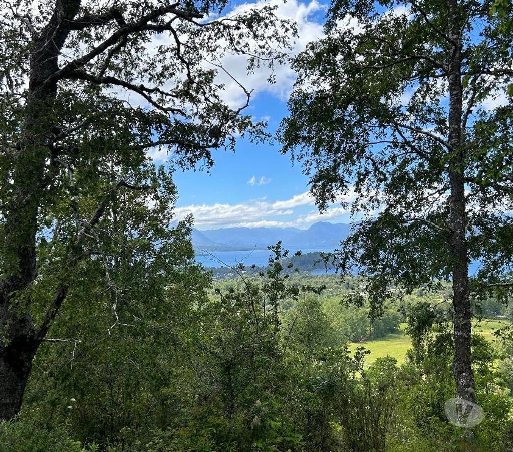 Venta de Haciendas Cautín Villarrica - Fotos de Vendo campo en Lican Ray 12 has ideal para lotear