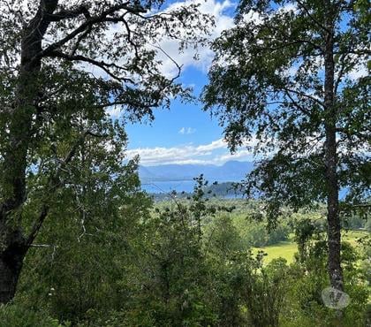 Campos en Venta Villarrica Cautín - Fotos de Vendo campo en Lican Ray 12 has ideal para lotear