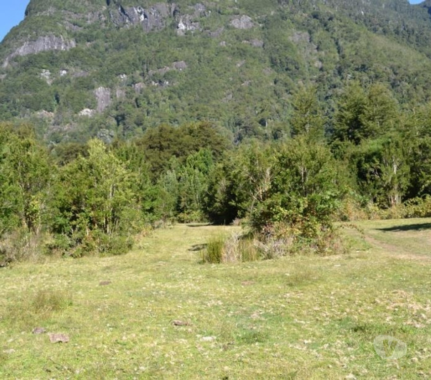 Parcelas en Venta Llanquihue Puerto Varas - Fotos de Extraordinario Predio de 12 hás a orillas del Lago Chapo