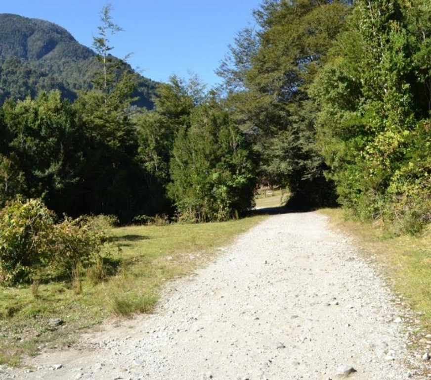 Parcelas en Venta Llanquihue Puerto Varas - Fotos de Extraordinario Predio de 12 hás a orillas del Lago Chapo