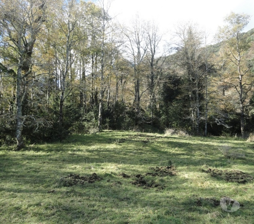 Venta de Haciendas Ranco Futrano - Fotos de Extraordinario predio de 800 has en Futrono (Valdivia)