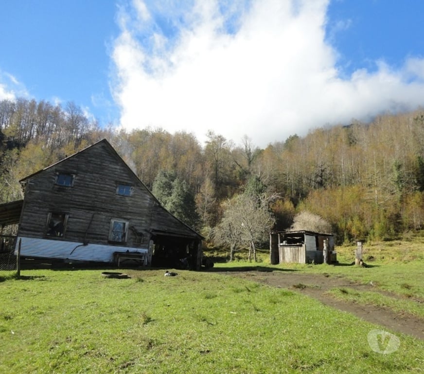 Venta de Haciendas Ranco Futrano - Fotos de Extraordinario predio de 800 has en Futrono (Valdivia)