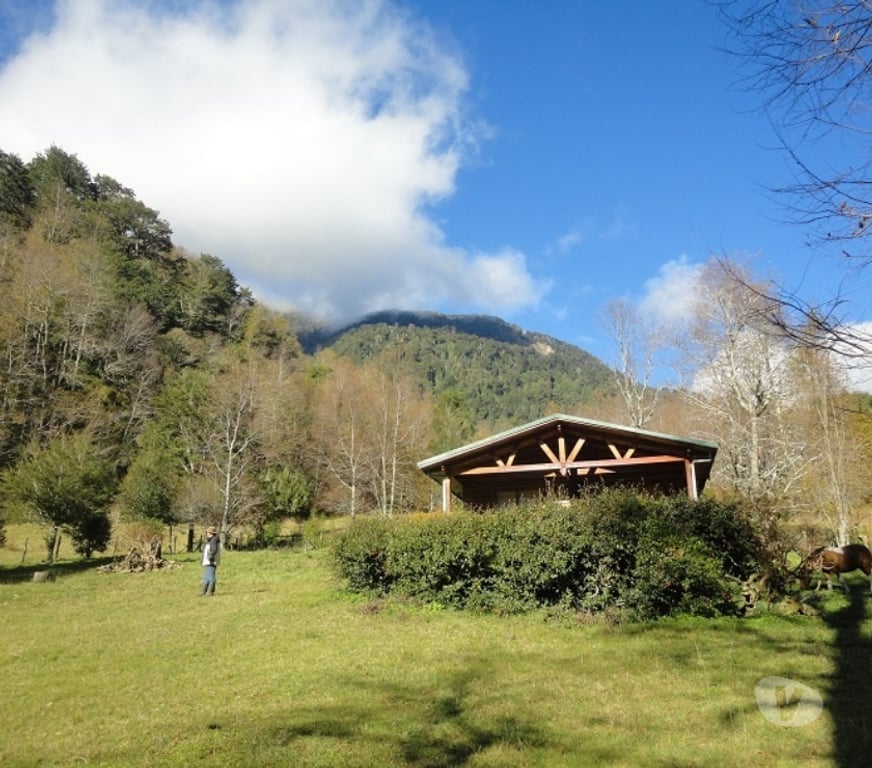 Venta de Haciendas Ranco Futrano - Fotos de Extraordinario predio de 800 has en Futrono (Valdivia)