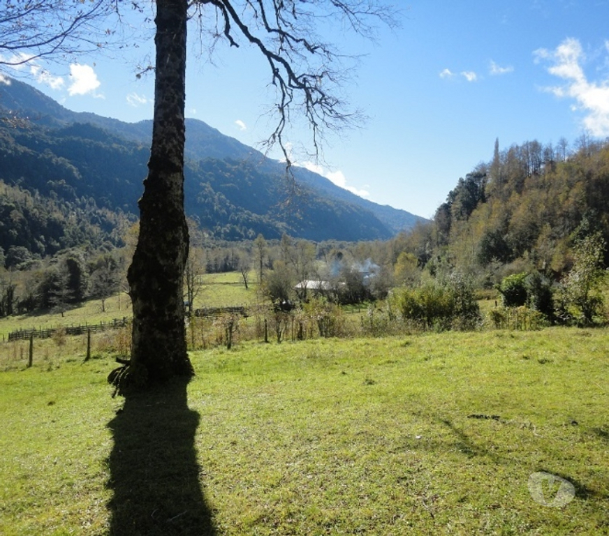 Venta de Haciendas Ranco Futrano - Fotos de Extraordinario predio de 800 has en Futrono (Valdivia)