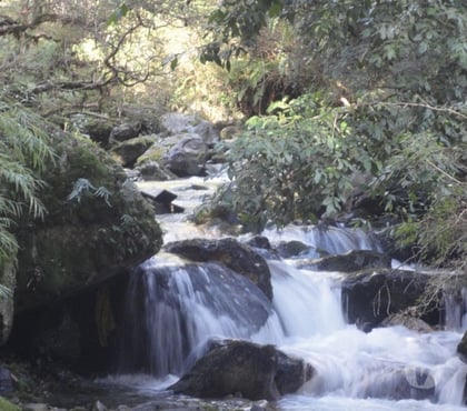 Haciendas en Venta Futrano Ranco - Fotos de Extraordinario predio de 800 has en Futrono (Valdivia)