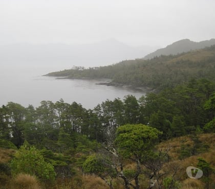 Haciendas en Venta Punta Arenas Magallanes - Fotos de Espectacular Hacienda de 25300 has cerca de Punta Arenas