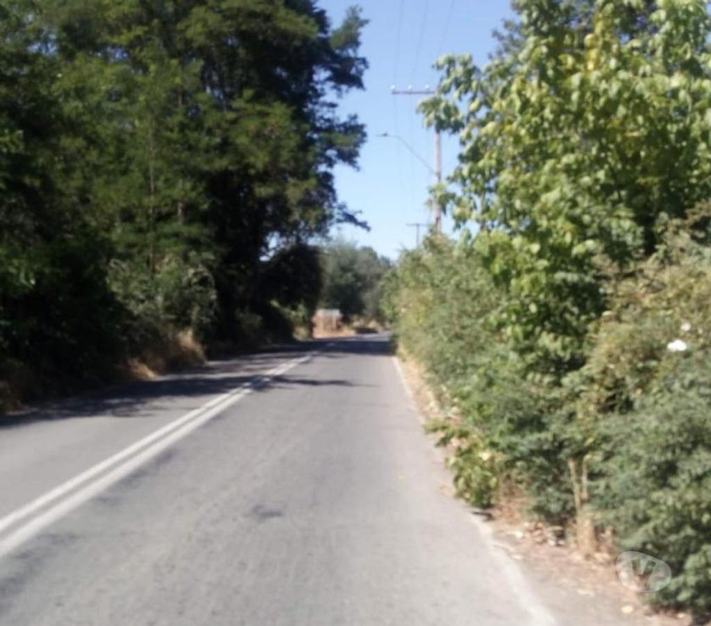 Parcelas en Venta Linares Linares - Fotos de PARC.5.000M2 ROL INDIVIDUAL.LA ISLA. LAS CUELLAR