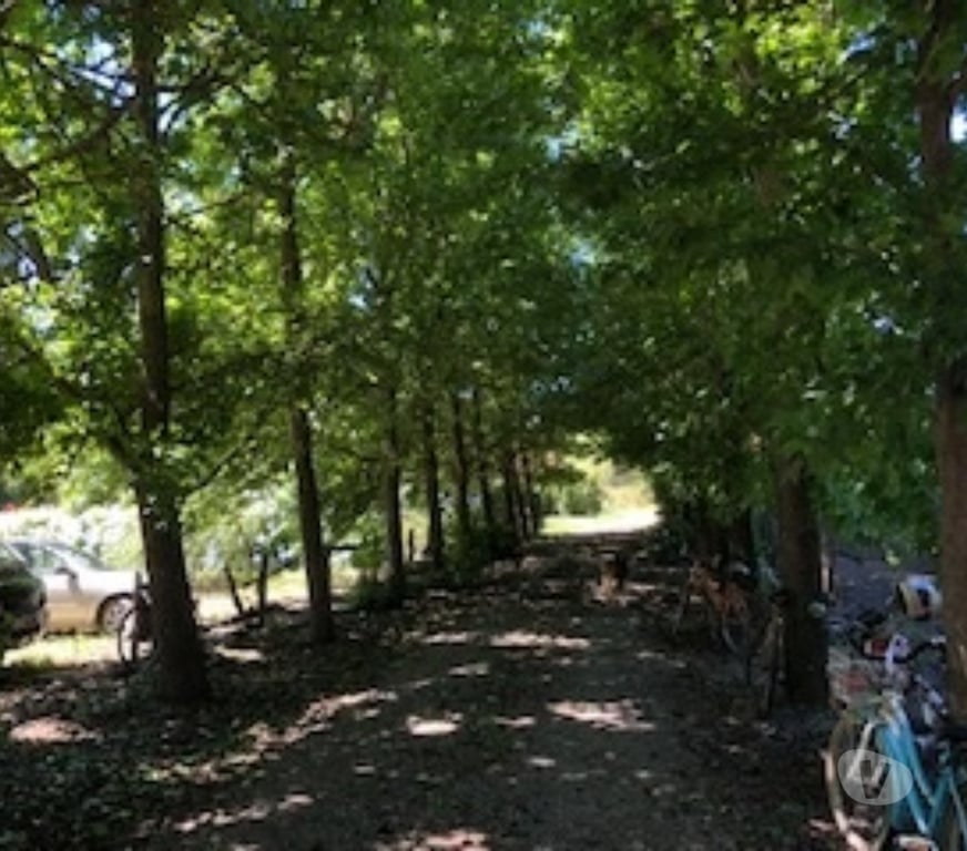 Parcelas en Venta Ñuble San Carlos - Fotos de Preciosa Parcela de 9 hás con casa en San Carlos-Ñuble