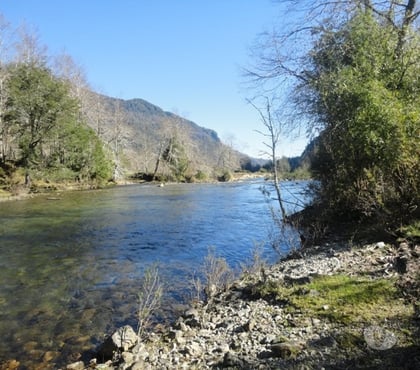 Venta de Fundos Futrano Ranco - Fotos de Extraordinario Campo de 64 hectareas en Futrono (Valdivia)