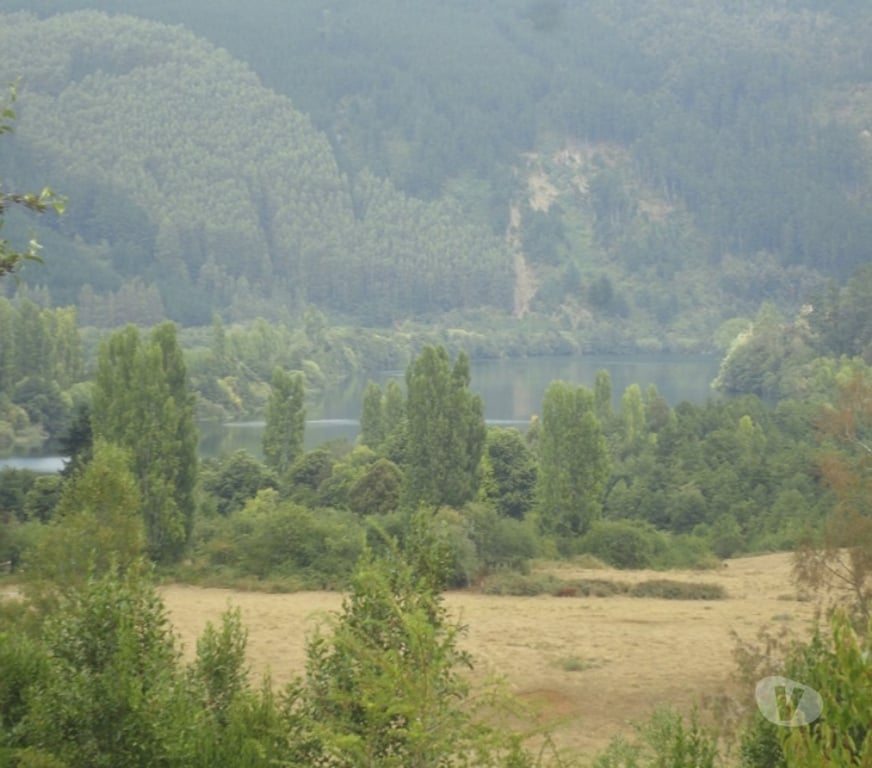 Venta de Haciendas Ranco La Unión - Fotos de Espectacular Campo de 34 hectáreas en La Unión-Valdivia