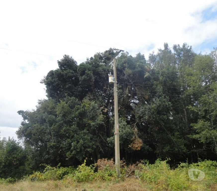 Venta de Haciendas Ranco La Unión - Fotos de Espectacular Campo de 34 hectáreas en La Unión-Valdivia