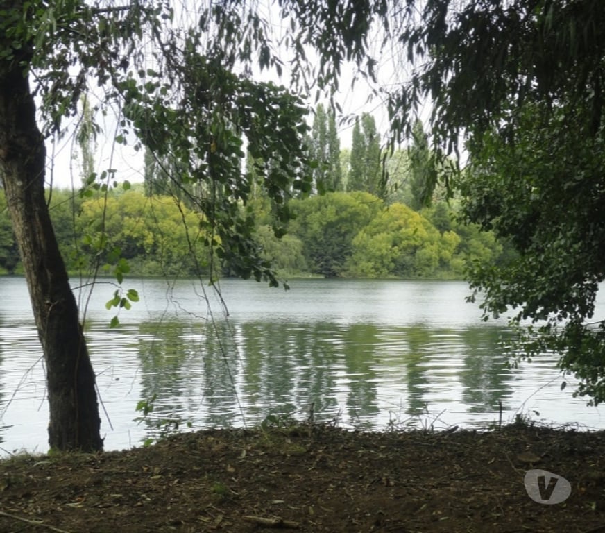 Venta de Haciendas Ranco La Unión - Fotos de Espectacular Campo de 34 hectáreas en La Unión-Valdivia