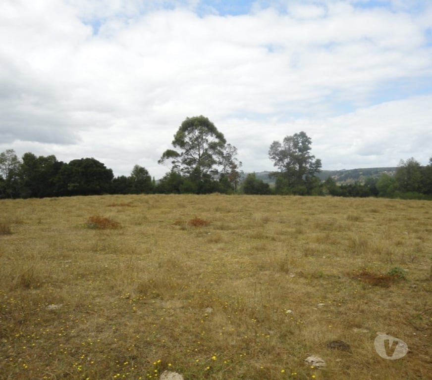 Venta de Haciendas Ranco La Unión - Fotos de Espectacular Campo de 34 hectáreas en La Unión-Valdivia