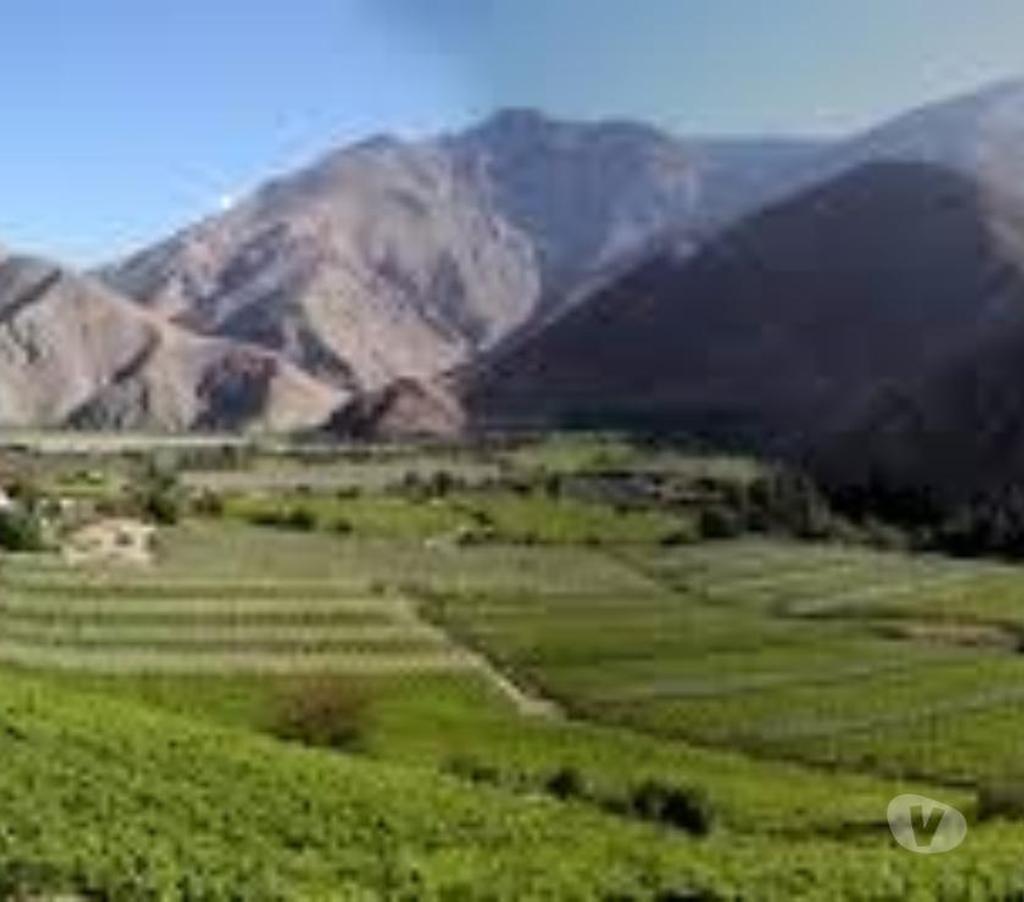 Parcelas en Venta Elqui Vicuña - Fotos de VENDO PARCELA EN VALLE DEL ELQUI, MAMALLUCA LA TOTORITA