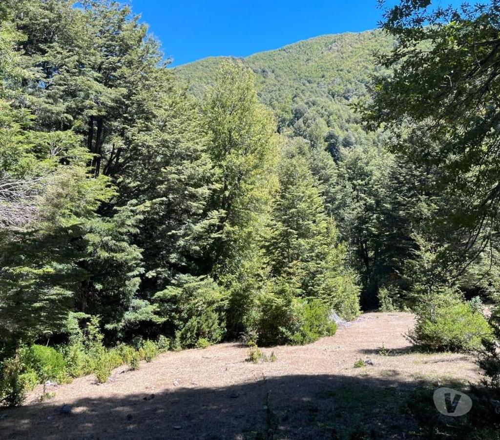 Venta de Haciendas Bío-Bío Mulchén - Fotos de Campo 2.550 Hectáreas. en Mulchén con Bosque Nativo-Regalo