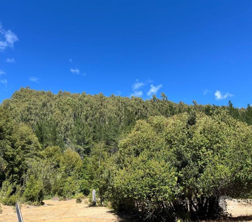 Venta de Haciendas Bío-Bío Mulchén - Fotos de Campo 2.550 Hectáreas. en Mulchén con Bosque Nativo-Regalo