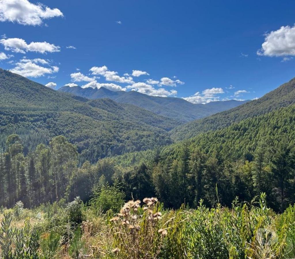Venta de Haciendas Bío-Bío Mulchén - Fotos de Campo 2.550 Hectáreas. en Mulchén con Bosque Nativo-Regalo