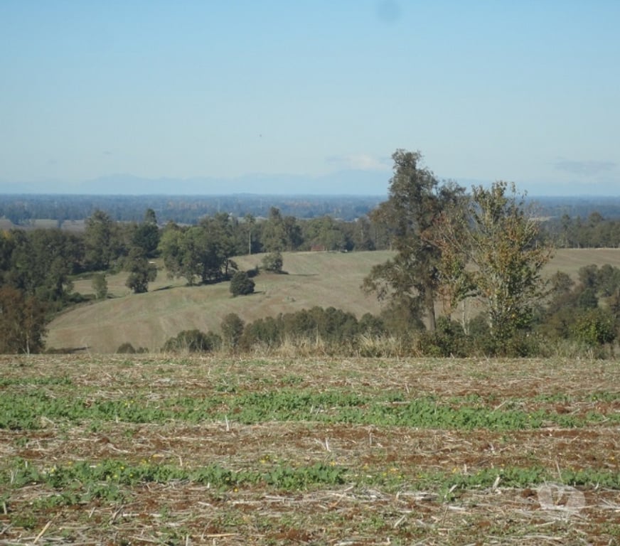 Venta de Haciendas Osorno Osorno - Fotos de Excelente Campo de 150 hectareas cerca de Osorno 