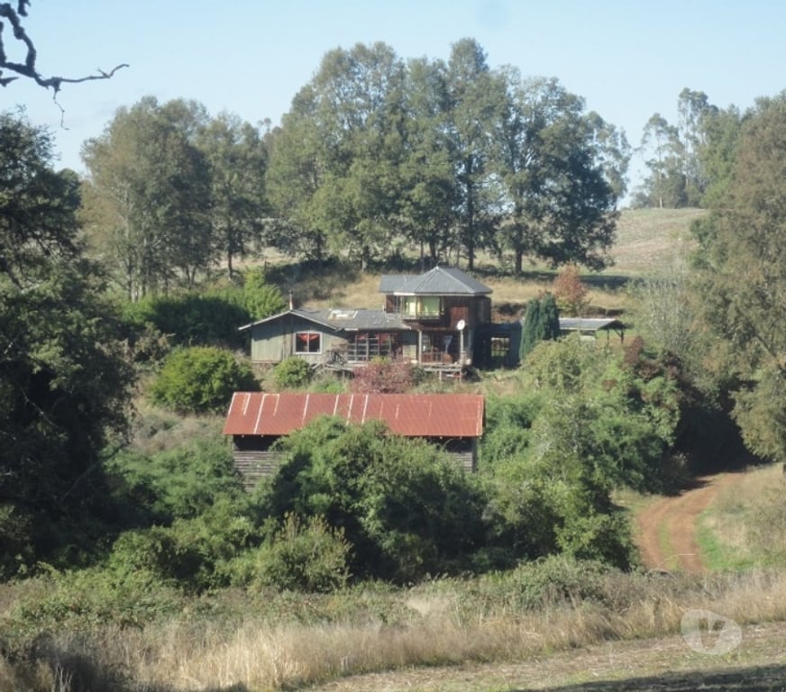 Venta de Haciendas Osorno Osorno - Fotos de Excelente Campo de 150 hectareas cerca de Osorno 
