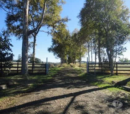 Venta de Fundos Osorno Osorno - Fotos de Excelente Campo de 150 hectareas cerca de Osorno