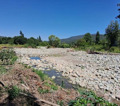 Terrenos en Venta Yerbas Buenas Linares - Fotos de 70HAS. ÁRIDOS.PLANA.ORILLA.RIO.MAULE.