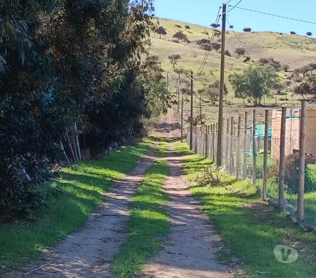 Parcelas en Venta Limarí Ovalle - Fotos de Oportunidad dos últimos terrenos!! En 21mll cada uno!!!