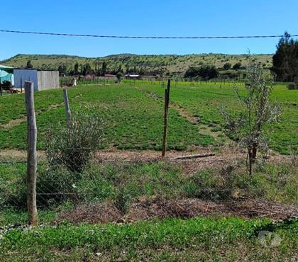 Parcelas Ovalle Limarí - Fotos de Oportunidad dos últimos terrenos!! En 21mll cada uno!!!
