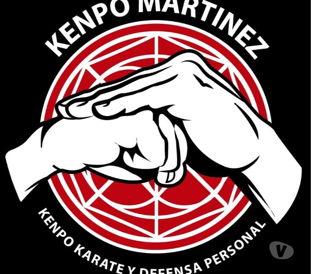 Otros Cursos Santiago Peñalolén - Fotos de KENPO KARATE - KICKBOXING - PEÑALOLEN
