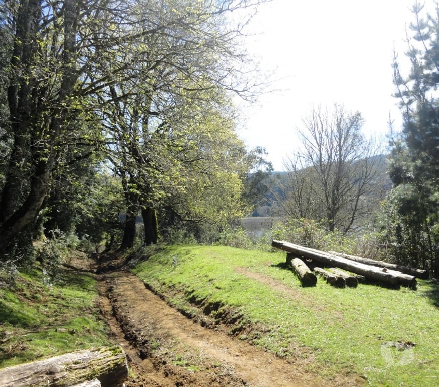 Venta de Haciendas Valdivia Valdivia - Fotos de Precioso Campo de 21 hectáraeas en Isla frente a Valdivia