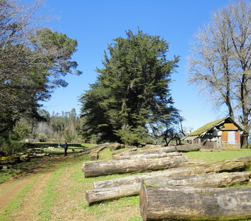 Venta de Haciendas Valdivia Valdivia - Fotos de Precioso Campo de 21 hectáraeas en Isla frente a Valdivia
