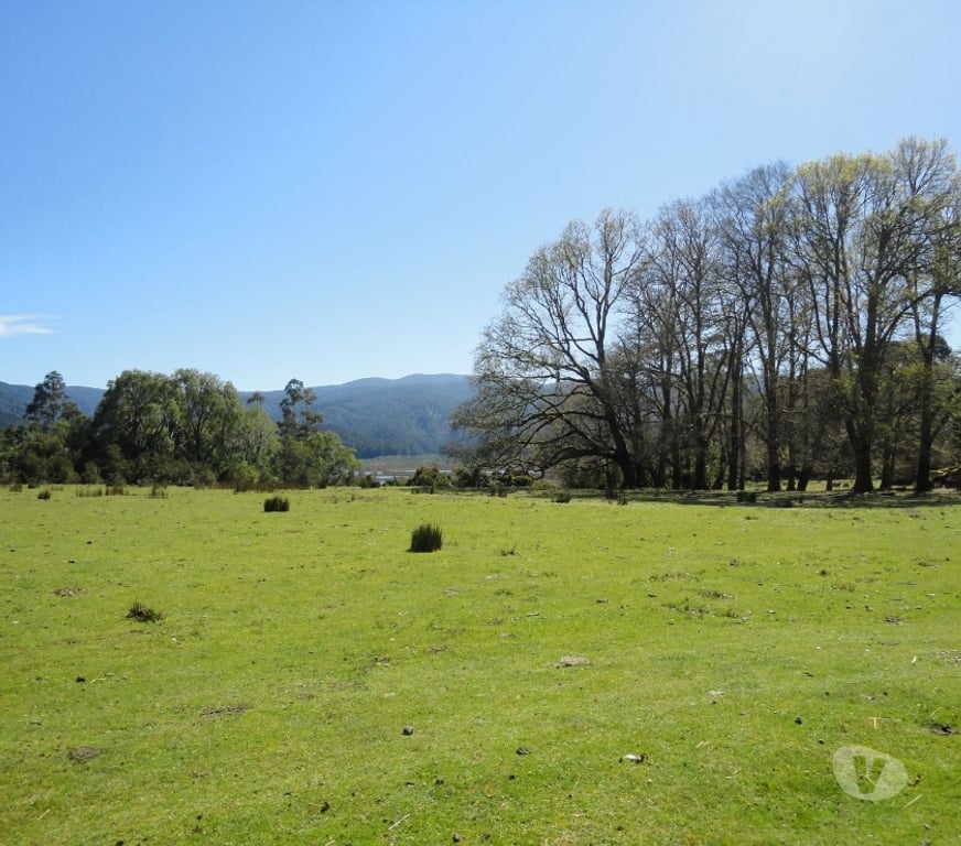 Venta de Haciendas Valdivia Valdivia - Fotos de Precioso Campo de 21 hectáraeas en Isla frente a Valdivia